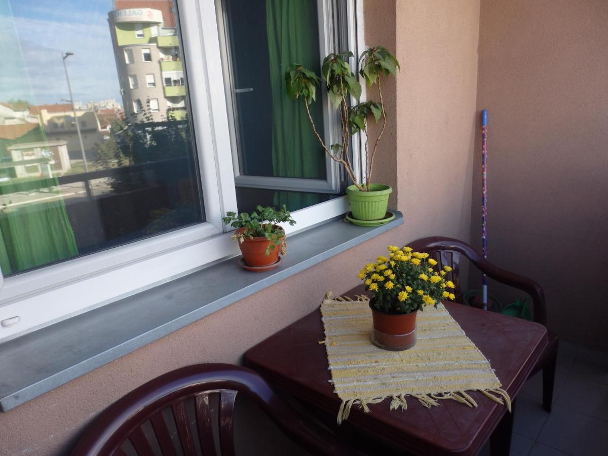 נובי סאד Apartment Erika 2 מראה חיצוני תמונה