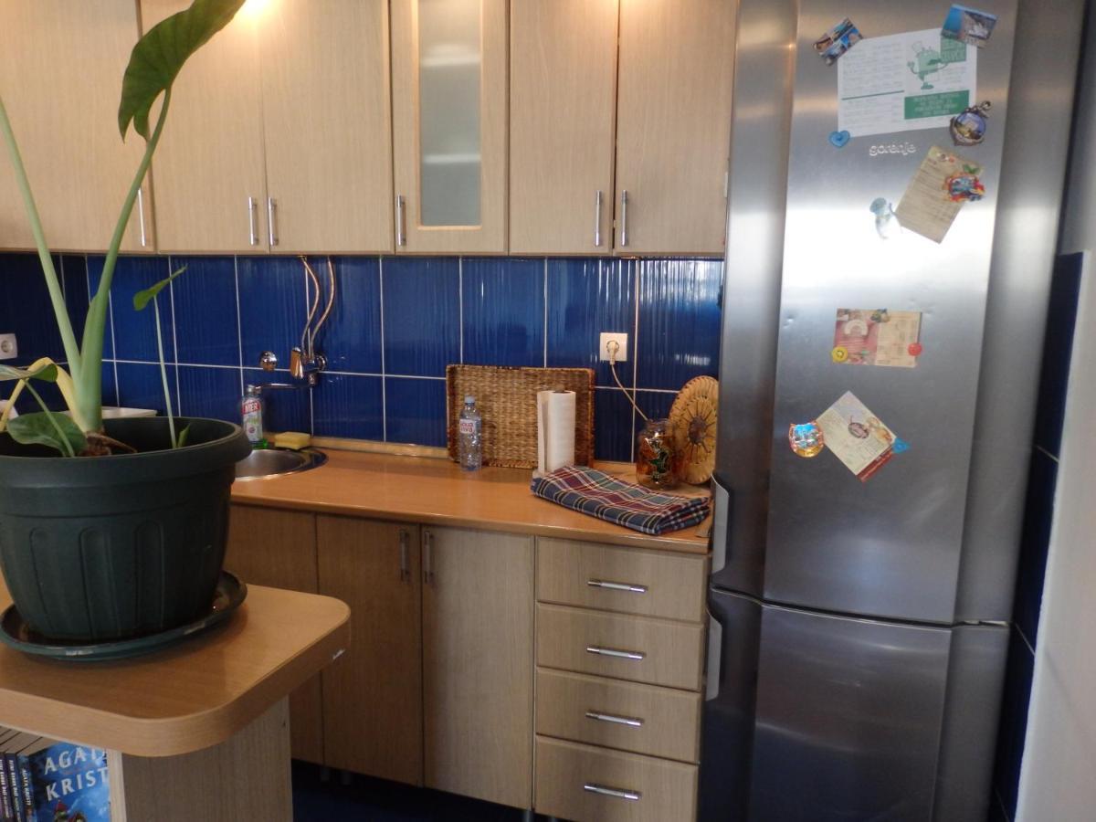 נובי סאד Apartment Erika 2 מראה חיצוני תמונה
