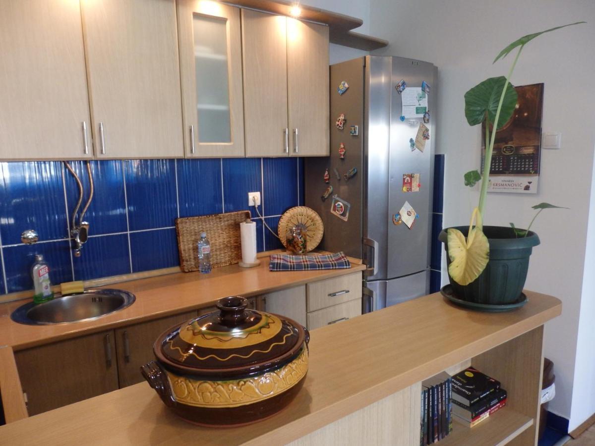 נובי סאד Apartment Erika 2 מראה חיצוני תמונה